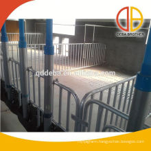 Poultry equipment poultry pig fatten machinery
